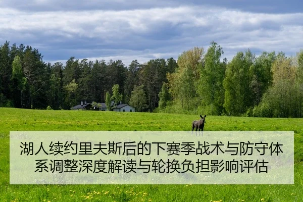 hu-ren-xu-yue-li-fu-si-hou-de-xia-sai-ji-zhan-shu-yu-fang-shou-ti-xi-tiao-zheng-shen-du-jie-du-yu-lun-huan-fu-dan-ying-2-355.jpg