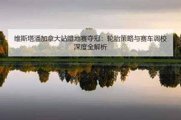 维斯塔潘加拿大站湿地赛夺冠：轮胎策略与赛车调校深度全解析